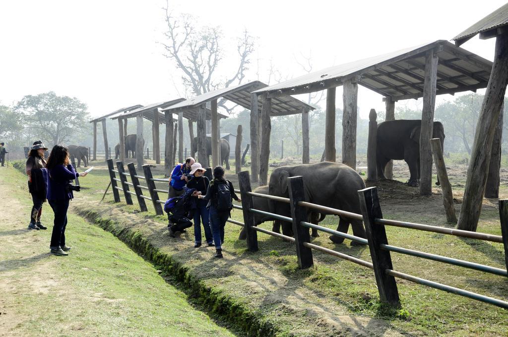 Green Park Chitwan Sauraha Exterior foto