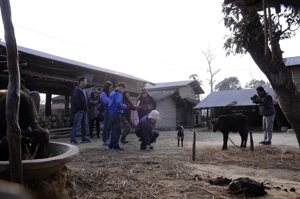 Green Park Chitwan Sauraha Exterior foto