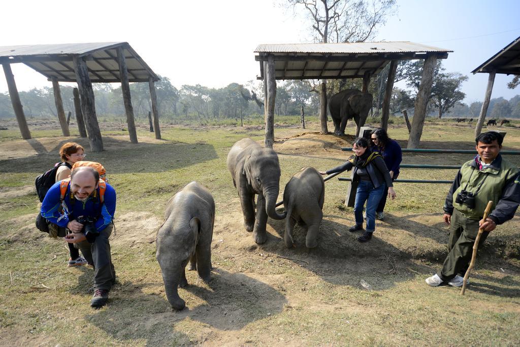 Green Park Chitwan Sauraha Exterior foto