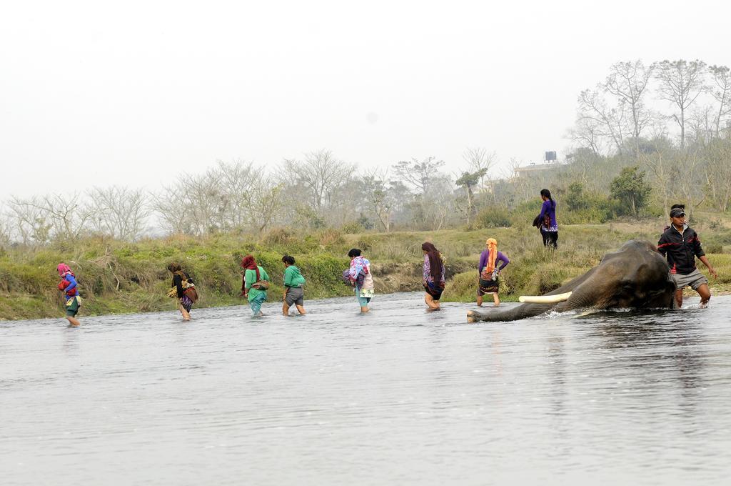 Green Park Chitwan Sauraha Exterior foto